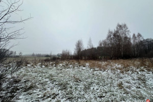 Działka do sprzedania Śladków Duży 43100m2