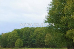 Oferta sprzedaży gruntu Sokołowo 16096m2