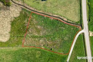 Działka 2900m2 Sieklówka