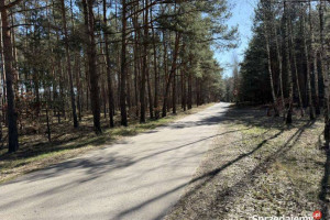 Działka z możliwością zabudowy blisko Gostynina