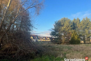 Sprzedaż gruntu Oleśniczka 1163m2