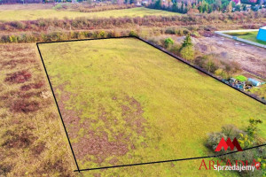 Ziemia 13174m2 Aleksandrów Kujawski