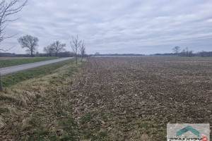 Oferta sprzedaży gruntu 27300m2 Golczewo