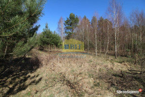 Działka 3002m2 w pięknym miejscu