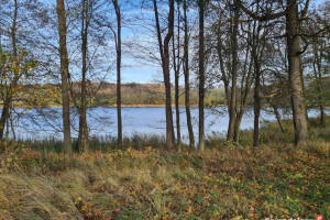 Duża budowlana. Linia brzegowa jeziora.