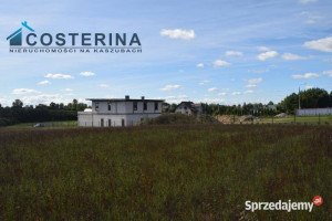 Działka 3000m2 Wielki Klincz