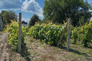 sprzedam działkę budowlaną