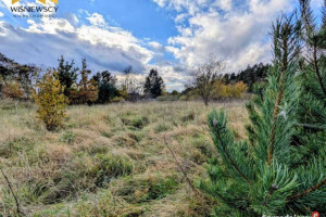 Na sprzedaż działki bud., Sztumskie Pole, 1146m2