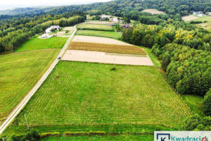 Grunt Huta Gogołowska 6500m2