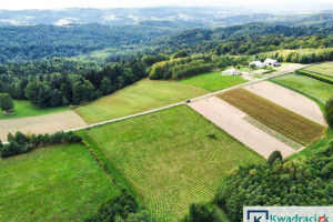 Grunt Huta Gogołowska 6500m2
