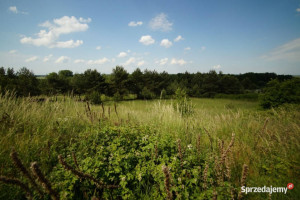 Sprzedaż działka budowlana 815m2 Górki gm.Prószków