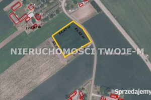 grunt Bidziny 3600m2