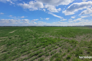 Sprzedaż 1,58 ha - budownictwo mieszkaniowe Opole