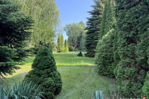 Działka 1900 metrów Prace Małe