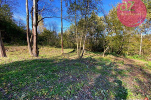 Działka budowlana nad Jeziorem Rożnowskim Lipie