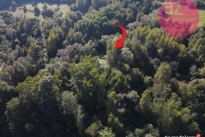 Działka budowlana nad Jeziorem Rożnowskim Lipie