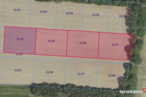Działki 31/37 i inne w miejscowości Grabowno Wielkie