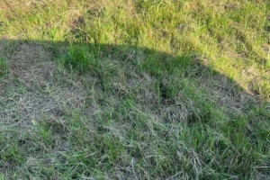 Działka budowlana nad morzem Darłowo