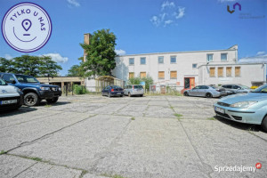 Działka 8613 metry Włocławek Witosa