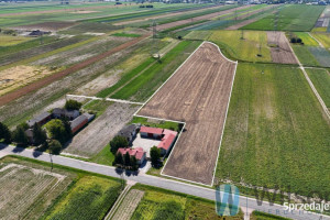 Oferta sprzedaży działki 23729m2 Pogroszew Nowowiejska