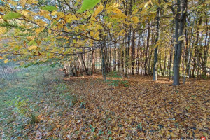 Działka 3000m2 Gromadzin