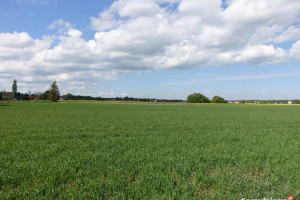 Skoczów Pruchna 1,15ha pod stadnine zabudowe lux lokalizacja