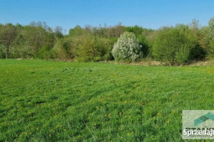 Oferta sprzedaży działki Ninikowo 3112m2