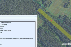 sprzedam las
