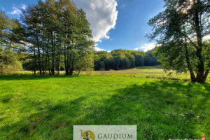 Enklawa pośród pól - 1ha piękna i ciszy | Kobysewo