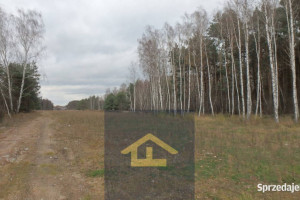 Działka budowlana w gminie Wiazowna