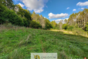 Niegdyś siedlisko-dziś Twój ruch | 5,6 ha Kobysewo