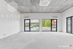 Oferta wynajmu lokalu Prażmów 72.6m2