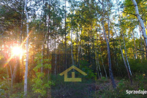 Działka budowlana w Niechnabrzu