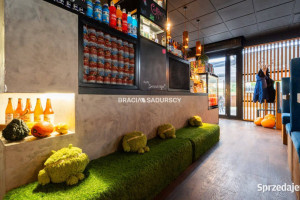 Lokal 74 metry Kraków