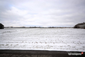 Grunt Janówek 2000m2