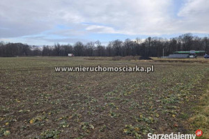 Grunt 4593m2 Gorzyce