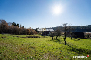 Sprzedaż działki Leńcze 804m2