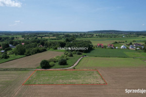 Grunt Wołowice 2500m2