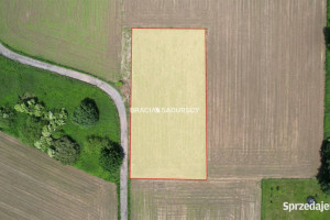 Grunt Wołowice 2500m2