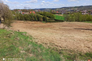 Działka rolno-budowlana (5600m2) ul. Leśna MEDIA (Tuchów)