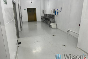 Lokal na wynajem 3000m2 Nowe Lipiny
