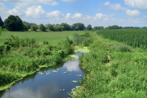 Działka  budowlana w ładnej  okolicy.