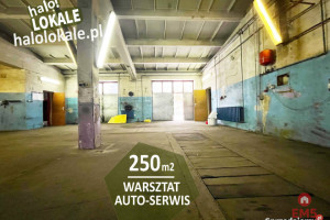 Lokal Białystok 250m2