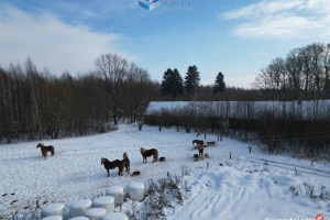 Do sprzedaży dom wolnostojący 325m2 Marwałd