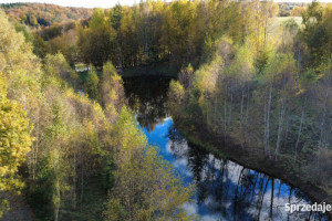 Działka Gromadzin 6253m2