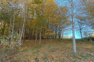 Działka Gromadzin 6253m2