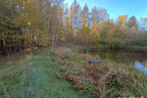 Działka Gromadzin 6253m2