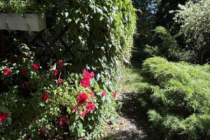 Sprzedam dom Żyrardów