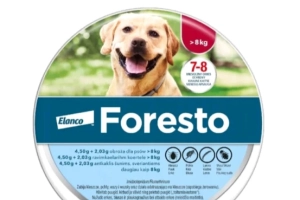 Foresto ostatnia sztuka