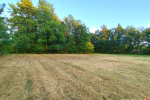 Działka budowlana blisko Kazimierza Dolnego